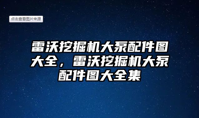 雷沃挖掘機大泵配件圖大全，雷沃挖掘機大泵配件圖大全集