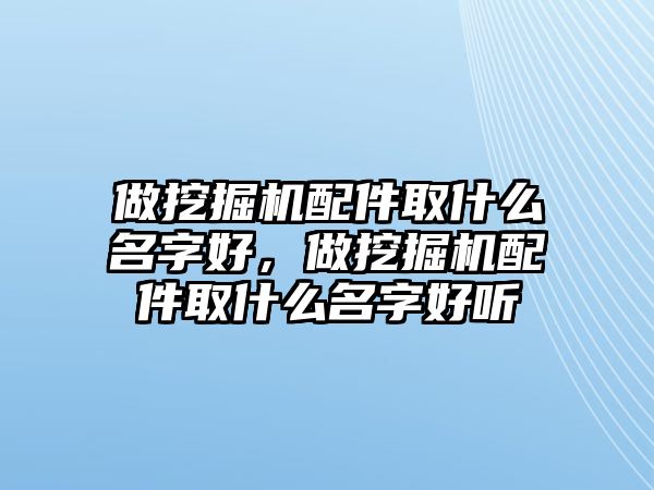 做挖掘機配件取什么名字好，做挖掘機配件取什么名字好聽