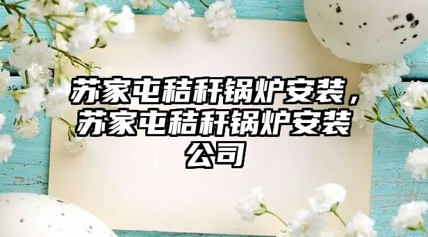 蘇家屯秸稈鍋爐安裝，蘇家屯秸稈鍋爐安裝公司