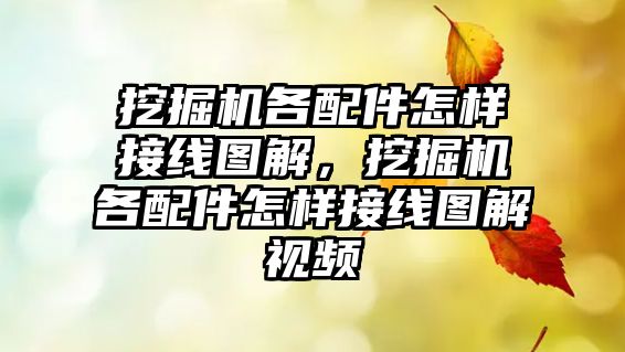 挖掘機各配件怎樣接線圖解，挖掘機各配件怎樣接線圖解視頻