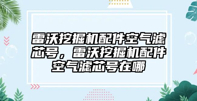 雷沃挖掘機配件空氣濾芯號，雷沃挖掘機配件空氣濾芯號在哪