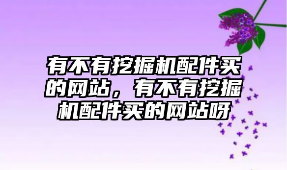 有不有挖掘機配件買的網(wǎng)站，有不有挖掘機配件買的網(wǎng)站呀