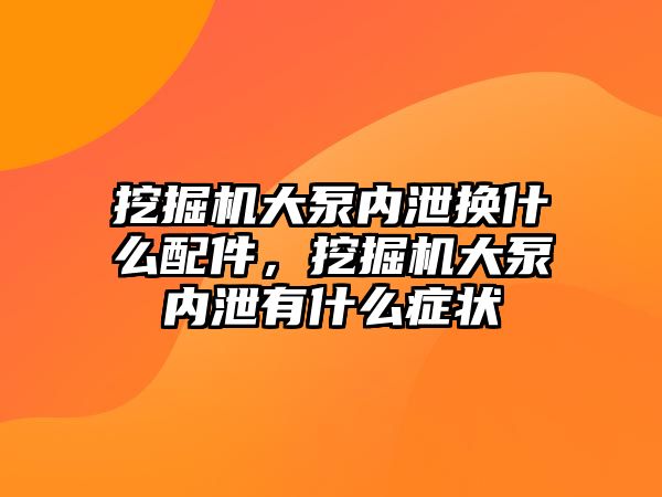 挖掘機大泵內泄換什么配件，挖掘機大泵內泄有什么癥狀