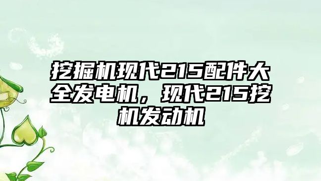 挖掘機(jī)現(xiàn)代215配件大全發(fā)電機(jī)，現(xiàn)代215挖機(jī)發(fā)動(dòng)機(jī)