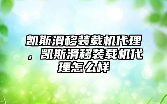 凱斯滑移裝載機(jī)代理，凱斯滑移裝載機(jī)代理怎么樣