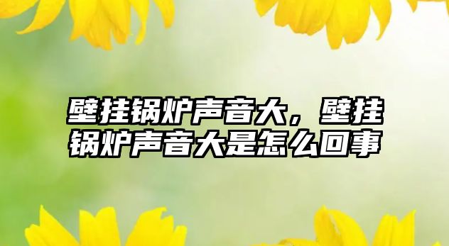 壁掛鍋爐聲音大，壁掛鍋爐聲音大是怎么回事