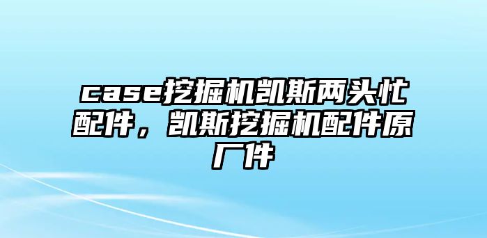 case挖掘機(jī)凱斯兩頭忙配件，凱斯挖掘機(jī)配件原廠件