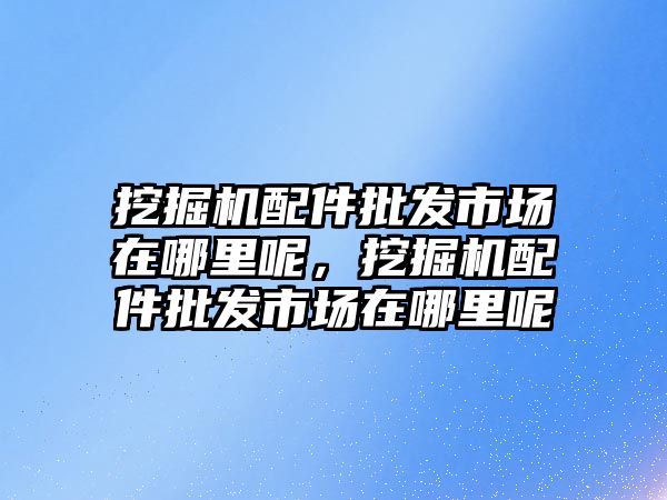 挖掘機配件批發市場在哪里呢，挖掘機配件批發市場在哪里呢