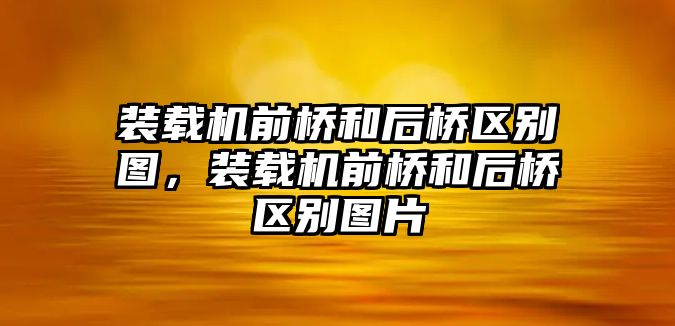 裝載機前橋和后橋區別圖，裝載機前橋和后橋區別圖片