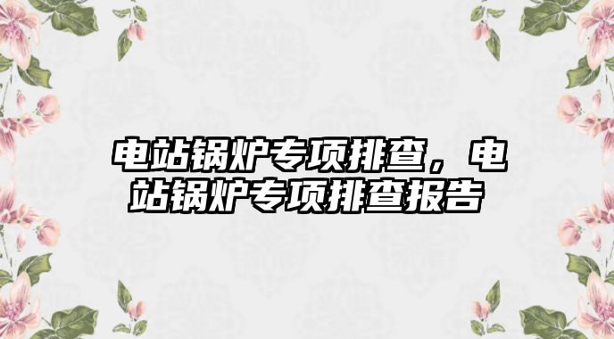 電站鍋爐專項排查，電站鍋爐專項排查報告