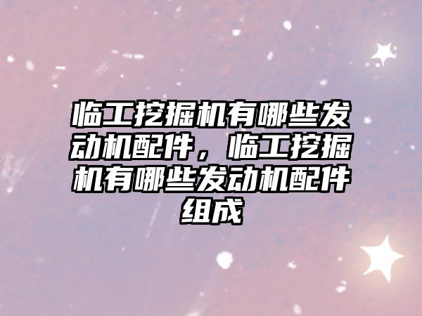 臨工挖掘機有哪些發動機配件，臨工挖掘機有哪些發動機配件組成