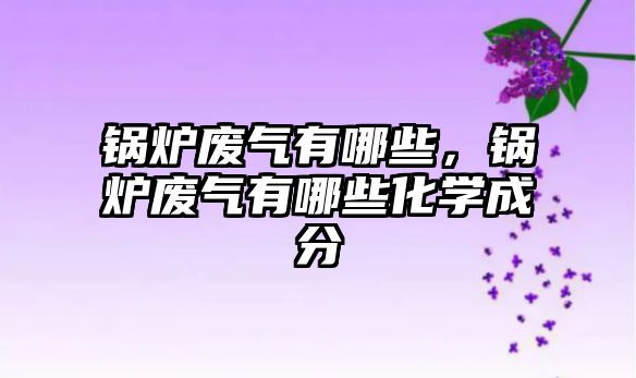 鍋爐廢氣有哪些，鍋爐廢氣有哪些化學成分