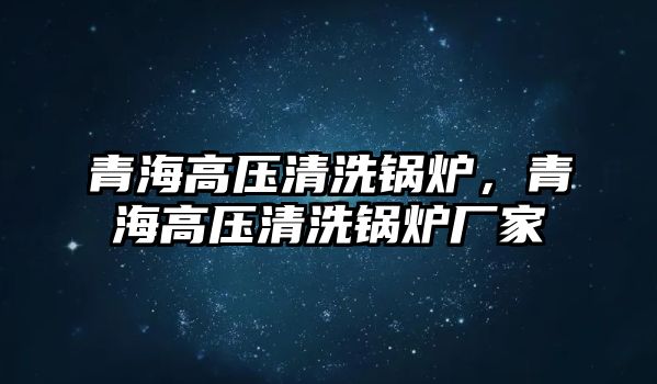 青海高壓清洗鍋爐，青海高壓清洗鍋爐廠家