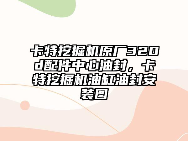 卡特挖掘機原廠320d配件中心油封，卡特挖掘機油缸油封安裝圖