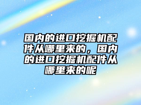 國內的進口挖掘機配件從哪里來的，國內的進口挖掘機配件從哪里來的呢