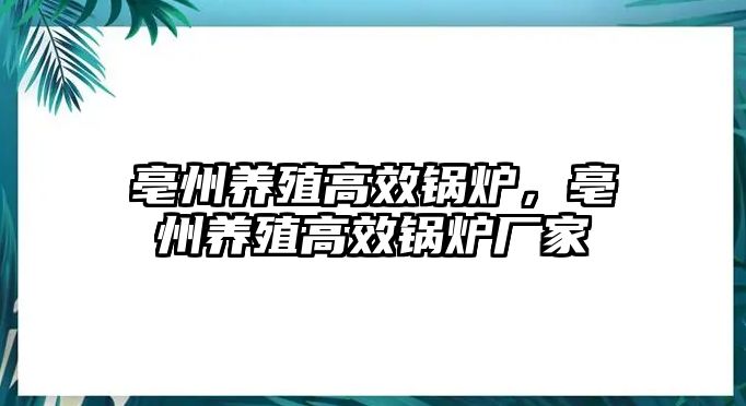 亳州養殖高效鍋爐，亳州養殖高效鍋爐廠家