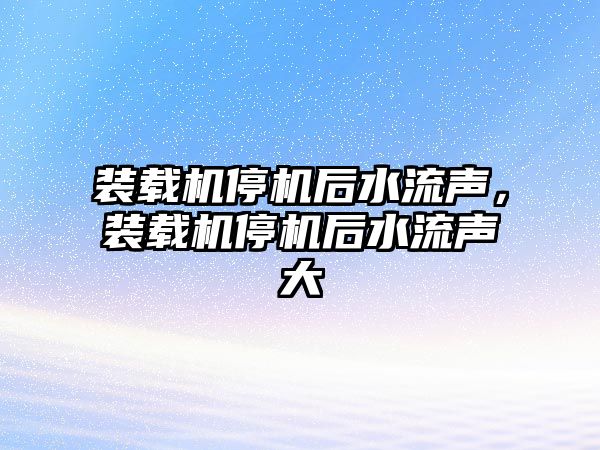 裝載機停機后水流聲，裝載機停機后水流聲大