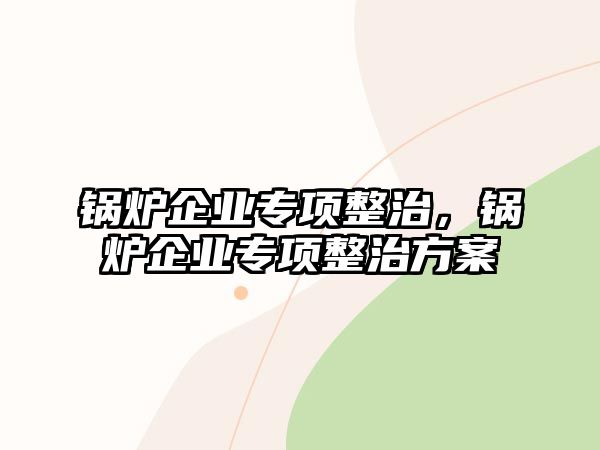 鍋爐企業專項整治，鍋爐企業專項整治方案