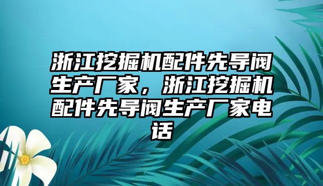 浙江挖掘機配件先導閥生產廠家，浙江挖掘機配件先導閥生產廠家電話