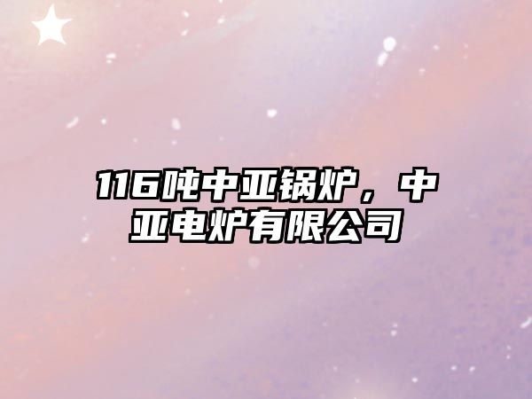 116噸中亞鍋爐，中亞電爐有限公司