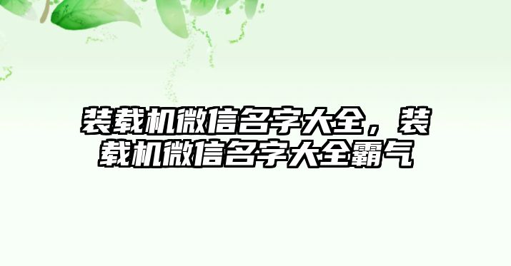 裝載機微信名字大全，裝載機微信名字大全霸氣