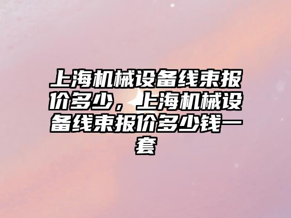 上海機械設備線束報價多少，上海機械設備線束報價多少錢一套