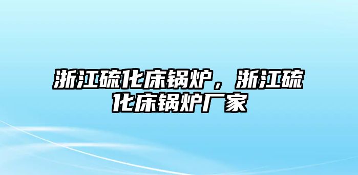 浙江硫化床鍋爐，浙江硫化床鍋爐廠家