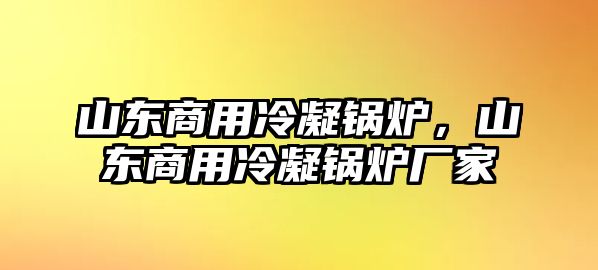 山東商用冷凝鍋爐，山東商用冷凝鍋爐廠家