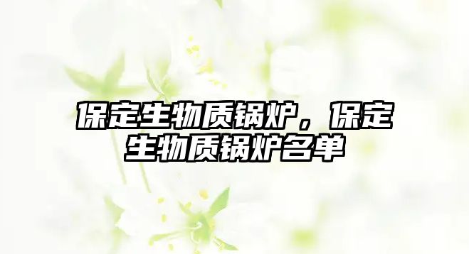 保定生物質鍋爐，保定生物質鍋爐名單