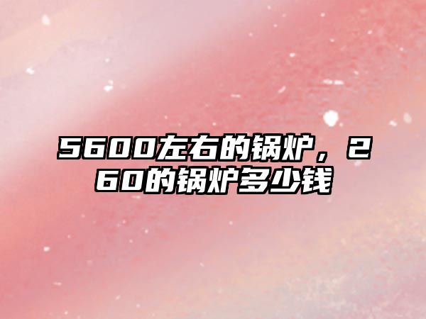 5600左右的鍋爐，260的鍋爐多少錢