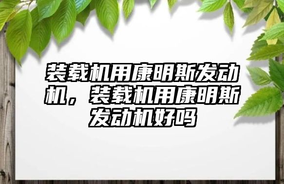 裝載機用康明斯發動機，裝載機用康明斯發動機好嗎