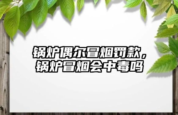 鍋爐偶爾冒煙罰款，鍋爐冒煙會中毒嗎