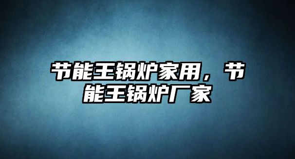 節能王鍋爐家用，節能王鍋爐廠家