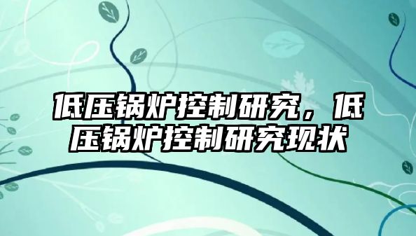 低壓鍋爐控制研究，低壓鍋爐控制研究現狀